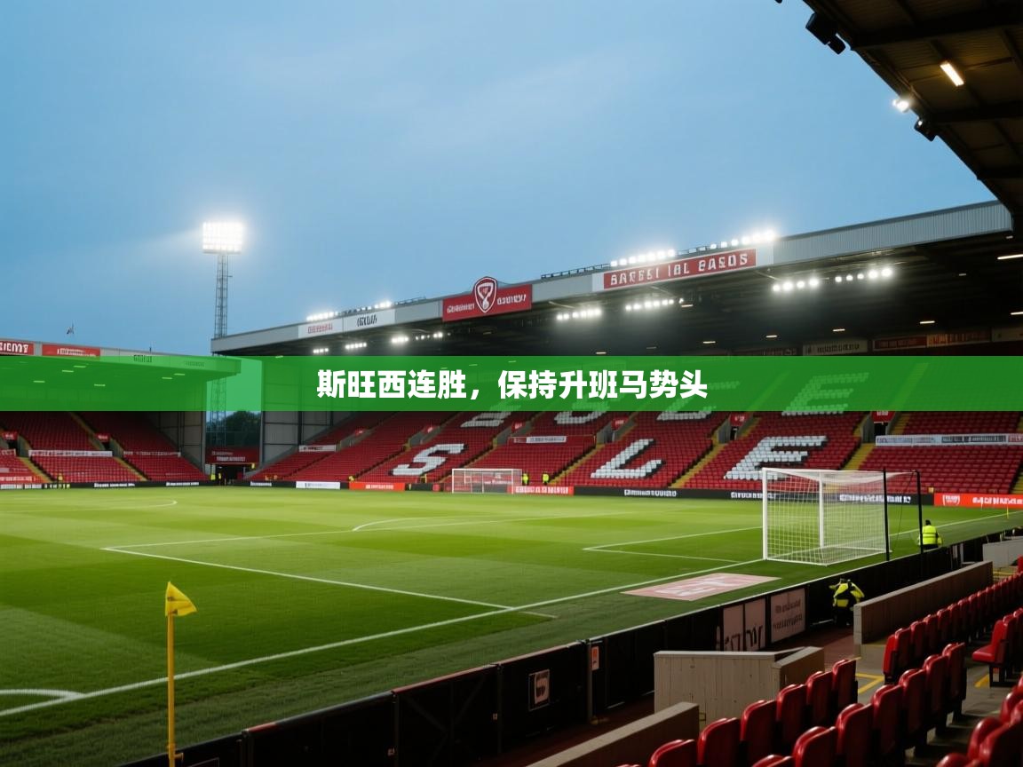 斯旺西连胜，保持升班马势头  第1张