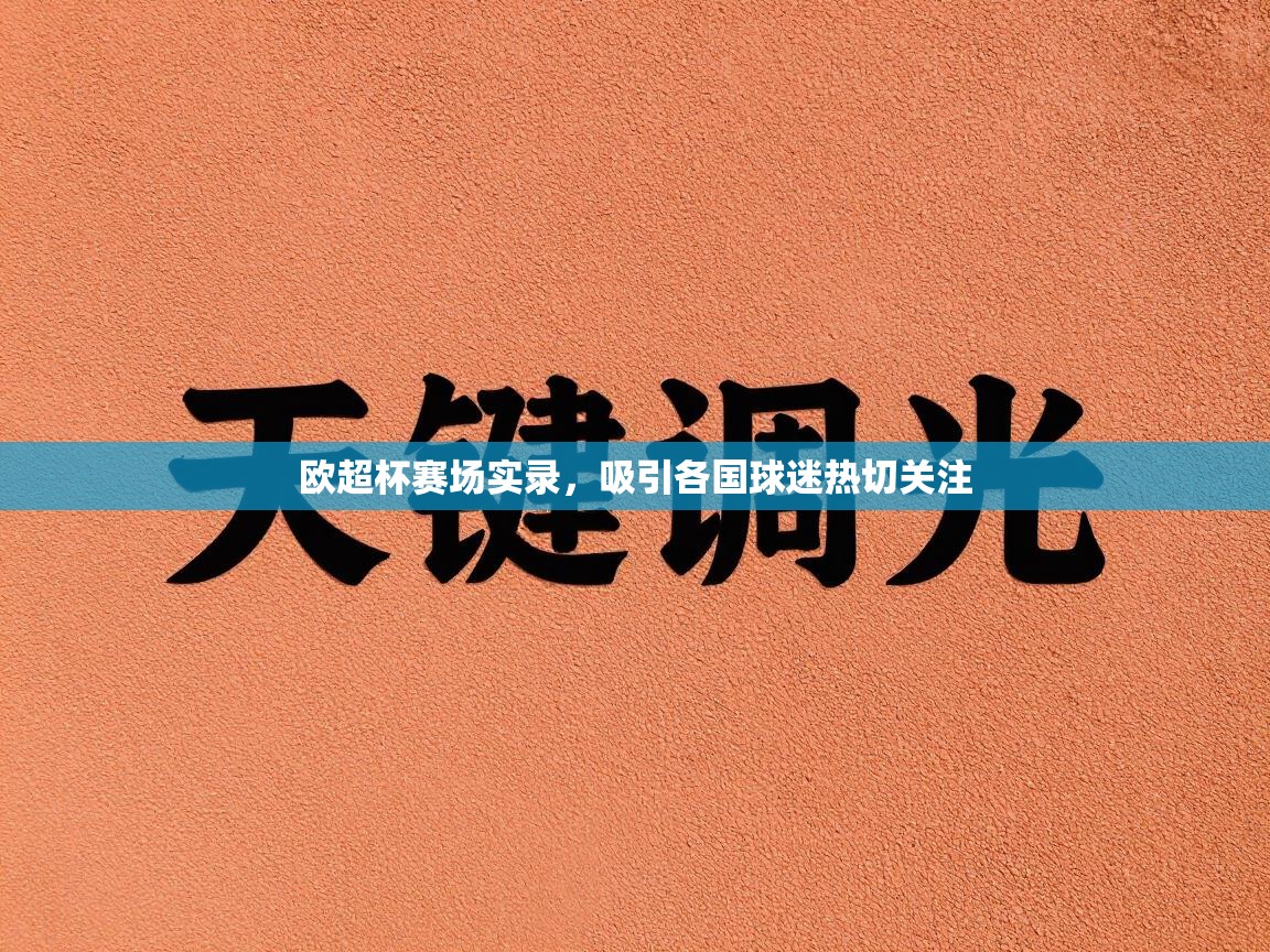 欧超杯赛场实录，吸引各国球迷热切关注  第1张